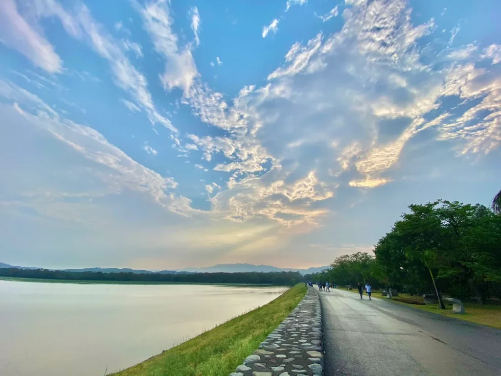 Self Drive Car in Chandigarh | Affordable Rentals