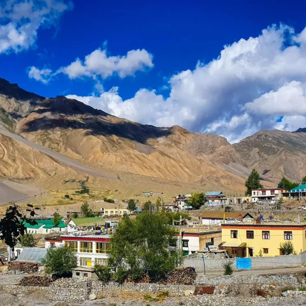 Kaza